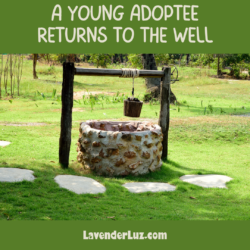 A stone well with a bucket of water against a green background and stone pathway. "A Young Adoptee Returns to the Well."
