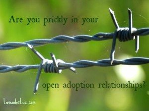 are you prickly in your open adoption relationships
