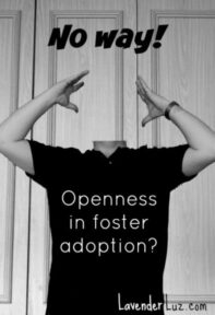 openness in foster adoption
