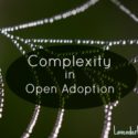core issues in adoption