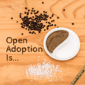 spicy yin yang nature of open adoption