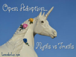 myths & truths of open adoption