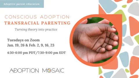 transracial parenting adoption resource